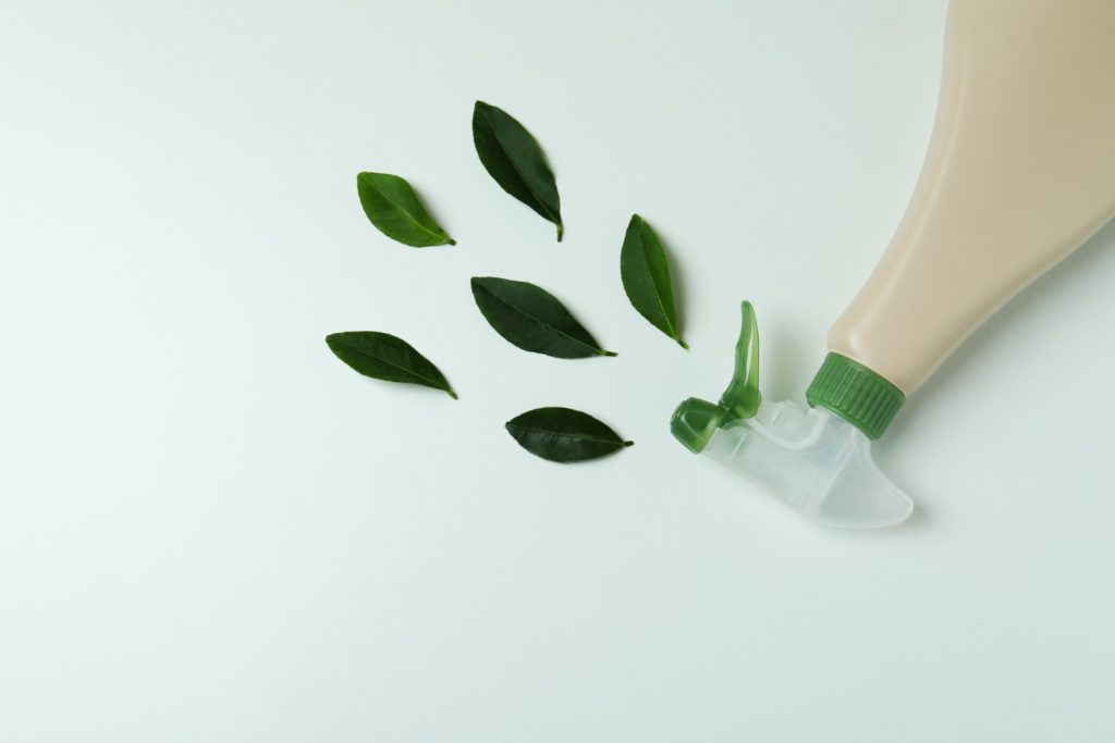 productos ecológicos
